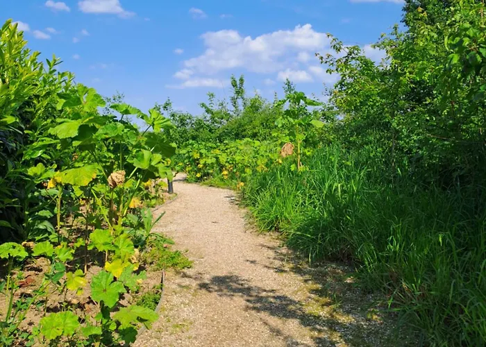 Apartment De Platwever 3b