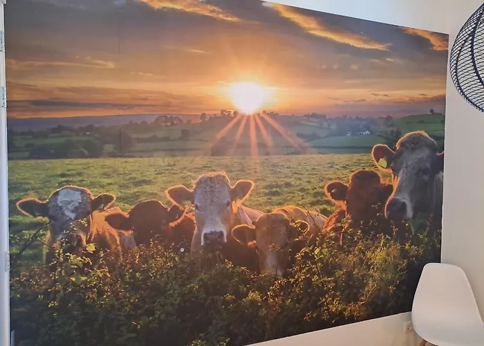 Apartment De Platwever 3b Zelhem