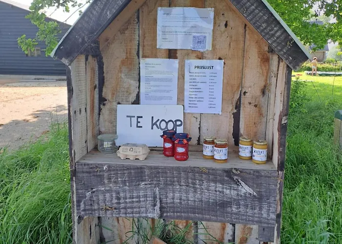 De Platwever 3b * Zelhem