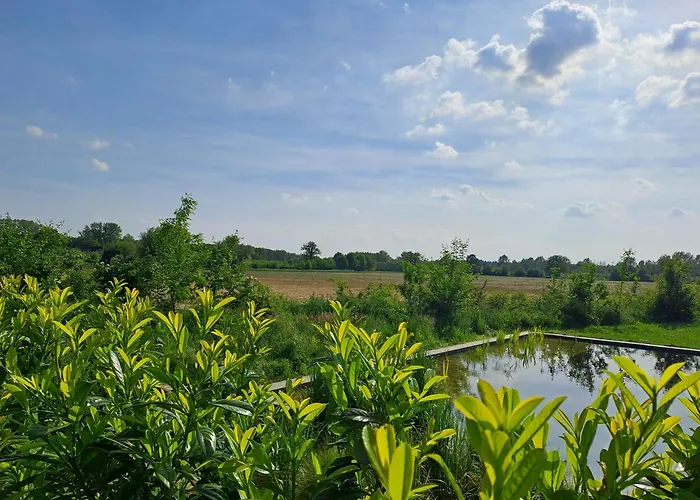 De Platwever 3b Zelhem